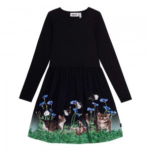 Molo Credence Tytöille Dresses Yin Yang Kitten | FI0000275