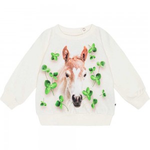 Molo Disc Tytöille Sweatshirts Cardigans Clover Foal | FI0001406