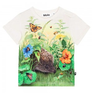 Molo Easy Pojille T Shirts Tops Living Garden | FI0001420