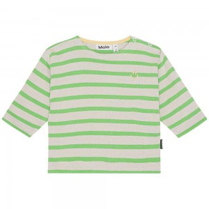 Molo Edarko Pojille T Shirts Tops Grass Stripe | FI0001422