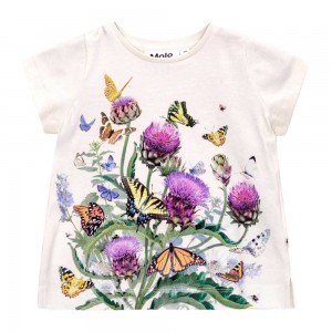 Molo Elly Tytöille T Shirts Tops Garden Top | FI0001427