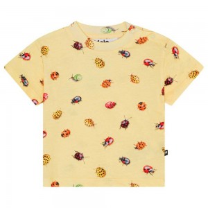 Molo Enzo Pojille T Shirts Tops Coccinella | FI0001411