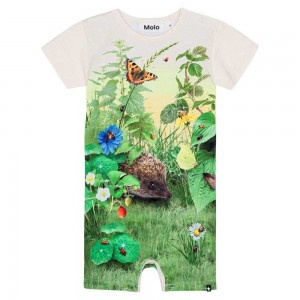 Molo Finn Pojille Bodies Babysuits Nature Living | FI0001246