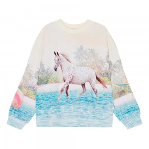 Molo Maxi Tytöille Sweatshirts Cardigans Island Horse | FI0000469