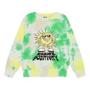 Molo Memphis Pojille Sweatshirts Cardigans Garden Dye | FI0000749