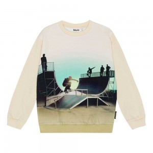 Molo Miksi Pojille Sweatshirts Cardigans Backlit Halfpipe | FI0000752