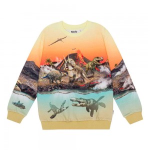 Molo Miksi Pojille Sweatshirts Cardigans Volcano Dinos | FI0000743