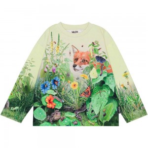 Molo Mountoo Pojille Sweatshirts Cardigans Wild Garden | FI0000754