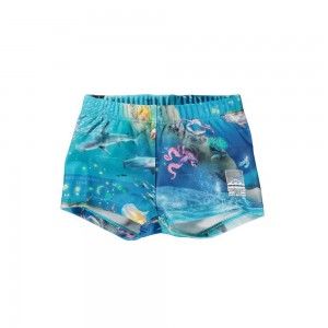 Molo Nansen Swimshorts Ocean Zones | FI0001138