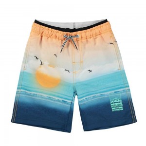 Molo Neal Swimshorts Sunset Beach | FI0001147