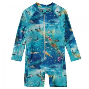 Molo Neka LS Rash guard suits Ocean Zones | FI0001064