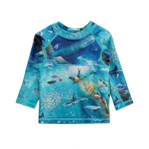 Molo Nemo Rash guards Ocean Zones | FI0001087