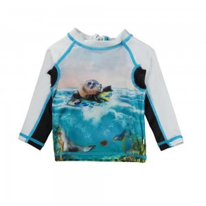 Molo Nemo Rash guards Sealion | FI0001077