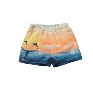 Molo Newton Swimshorts Ocean Smile | FI0001149