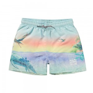 Molo Niko Swimshorts Ancient Island | FI0001134