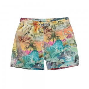 Molo Niko Swimshorts Dino Paradis | FI0001132