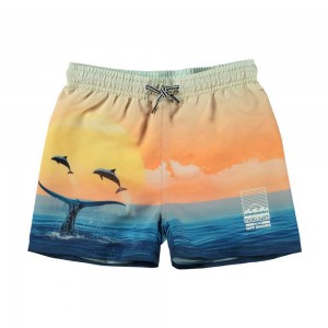 Molo Niko Swimshorts Ocean Smile | FI0001143