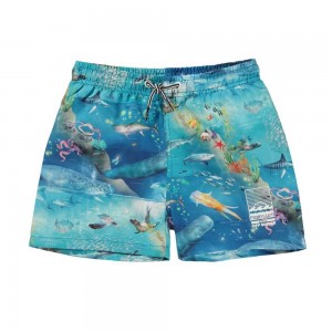 Molo Niko Swimshorts Ocean Zones | FI0001137