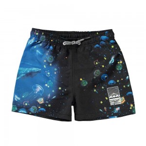 Molo Niko Swimshorts Plankton | FI0001159