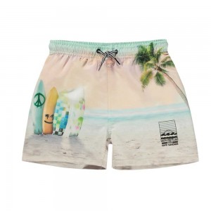 Molo Niko Swimshorts Sunrise Surfer | FI0001120