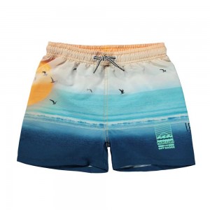 Molo Niko Swimshorts Sunset Beach | FI0001145