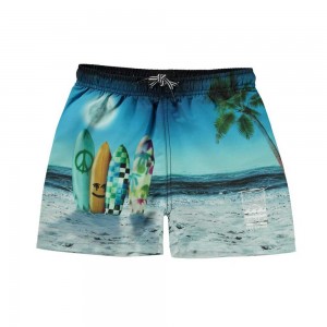 Molo Niko Swimshorts Sunset Surfer | FI0001121