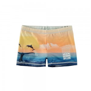 Molo Norton Placed Swimshorts Ocean Smile | FI0001144