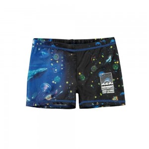 Molo Norton Placed Swimshorts Plankton | FI0001151