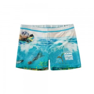 Molo Norton Placed Swimshorts Sealion | FI0001114