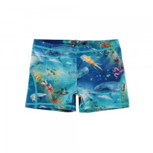 Molo Norton Swimshorts Ocean Zones | FI0001136