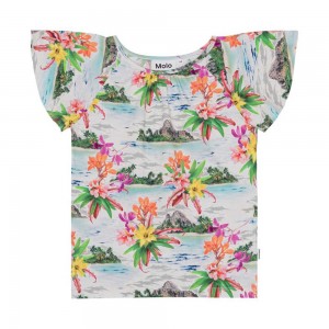 Molo Rachel Tytöille T Shirts Tops Tropical Islands | FI0000516