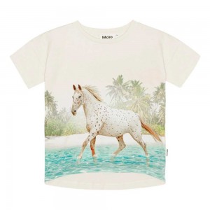 Molo Raeesa Tytöille T Shirts Tops Horse On Beach | FI0000523