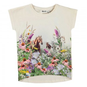 Molo Ragnhilde Tytöille T Shirts Tops Wild Horses | FI0000585