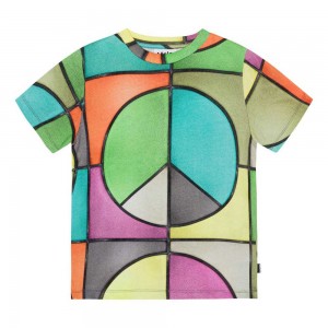 Molo Ralphie Pojille T Shirts Tops Basket Colour | FI0000779