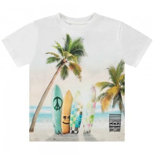 Molo Rame Pojille T Shirts Tops Sunrise Surfer | FI0000629