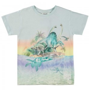 Molo Raul Pojille T Shirts Tops Ancient Island | FI0000630