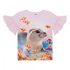 Molo Rayah Tytöille T Shirts Tops Seal Reef | FI0000498