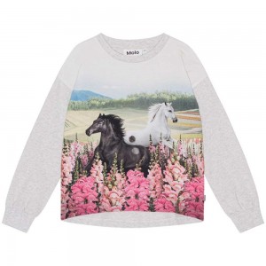 Molo Reniza Tytöille T Shirts Tops Meadow Horses | FI0000573