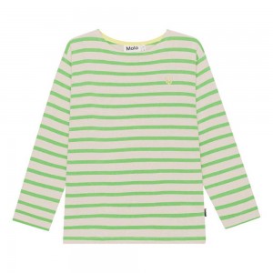 Molo Rilder Pojille T Shirts Tops Grass Stripe | FI0000833