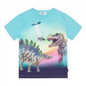 Molo Riley Pojille T Shirts Tops Beaming Dinos | FI0000829