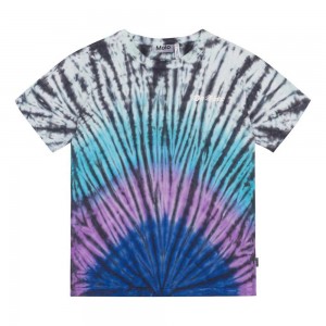 Molo Riley Pojille T Shirts Tops Lit Dye | FI0000851