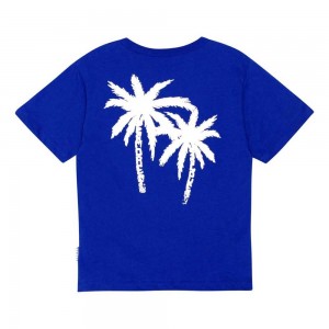 Molo Riley Pojille T Shirts Tops Reef Blue | FI0000770