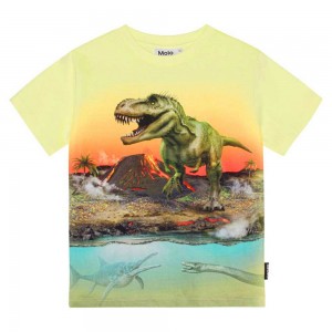 Molo Riley Pojille T Shirts Tops Volcano Dino | FI0000808