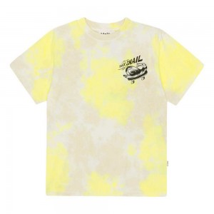 Molo Rodney Pojille T Shirts Tops Lemon Sand Dye | FI0000825