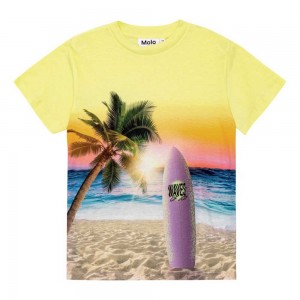 Molo Roxo Pojille T Shirts Tops Sunset Surf | FI0000776