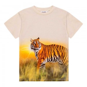 Molo Roxo Pojille T Shirts Tops Tiger Sand | FI0000855