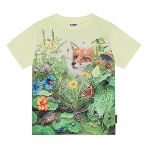 Molo Roxo Pojille T Shirts Tops Wild Garden | FI0000827