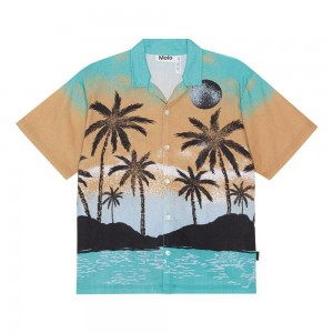 Molo Rui Pojille Shirts Holiday Island | FI0000681