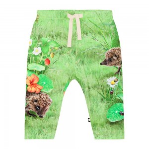 Molo Sabb Tytöille Pants Jeans Garden Nature | FI0001366