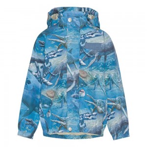 Molo Waiton Rainwear Big Ancient Sea | FI0000086